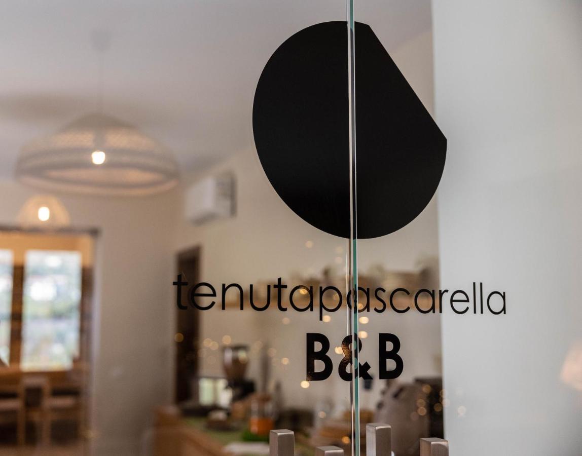 Tenuta Pascarella Bed & Breakfast Frasso Telesino Екстериор снимка