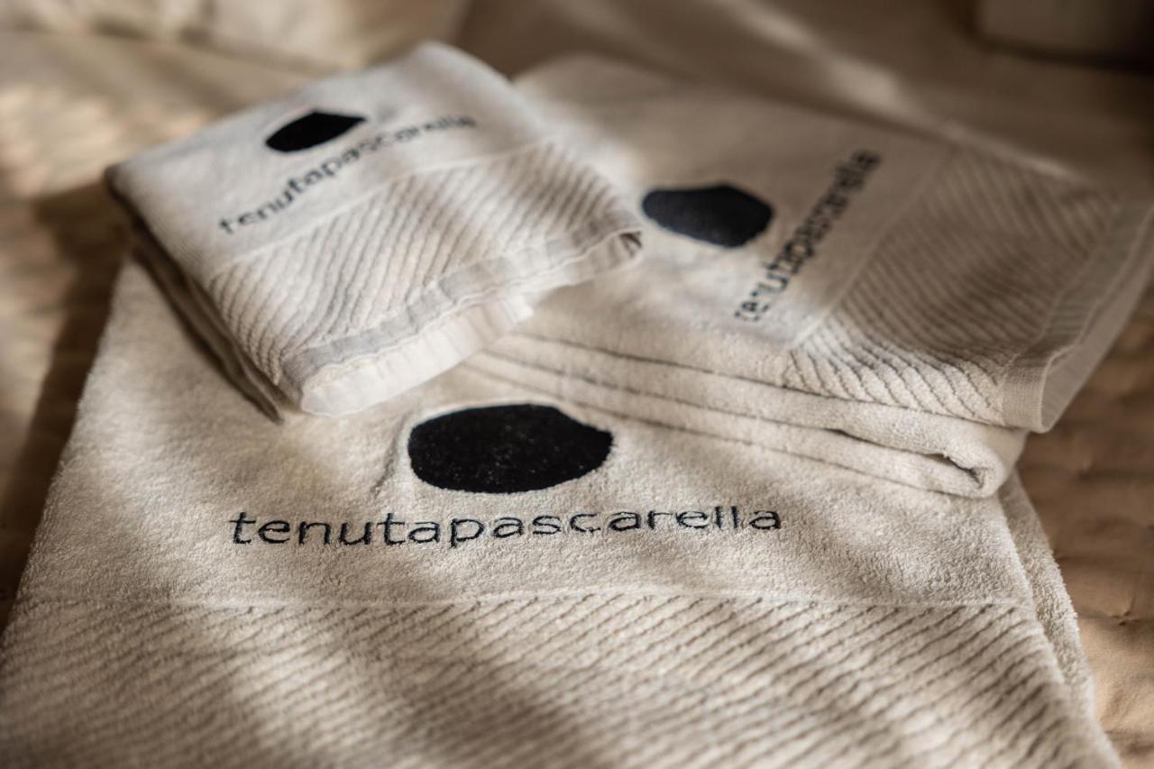 Tenuta Pascarella Bed & Breakfast Frasso Telesino Екстериор снимка
